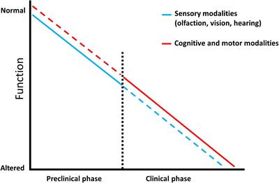 Smell, an Underrated Early Biomarker for Brain Aging